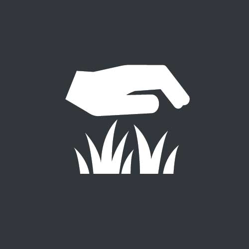 Weed Spray Service Landscape Services South Florida