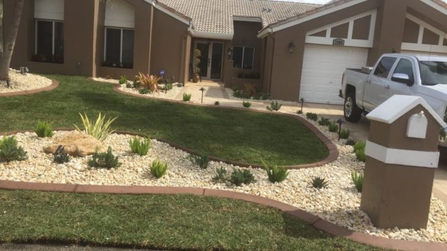 Xeriscape landscape design South FL