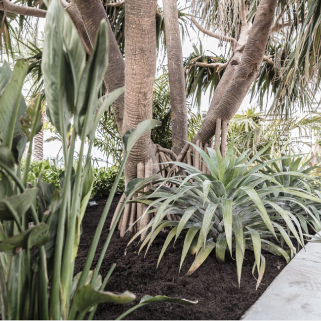 Diplomat Oceanfront Residences