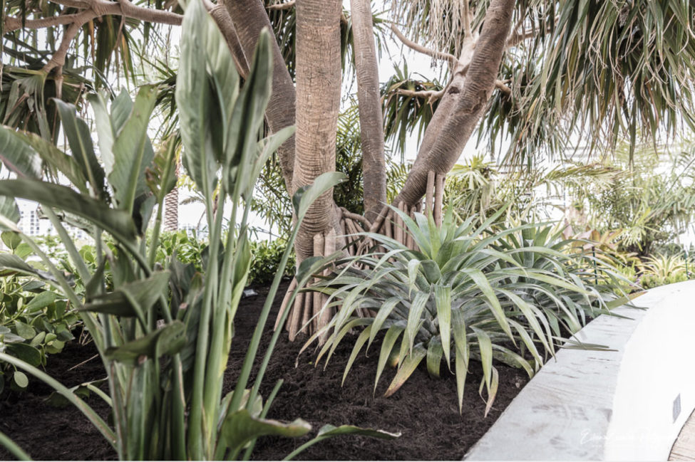 Diplomat Oceanfront Residences