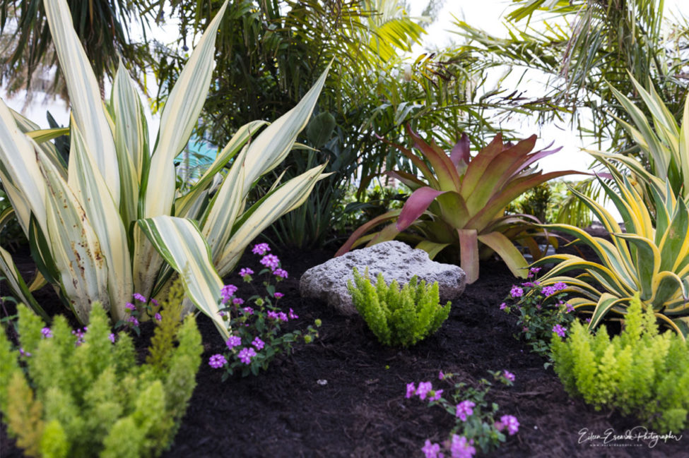 Diplomat Oceanfront Residences