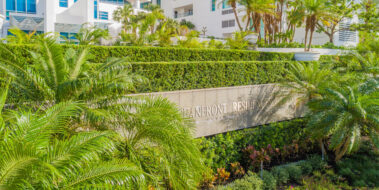 commercial lawn care services