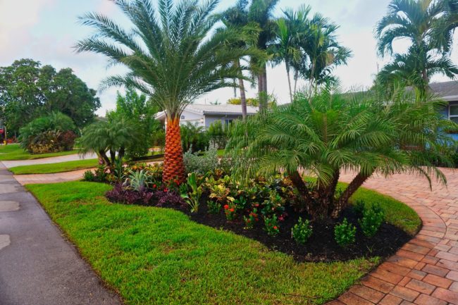 Wilton Manors Landscape