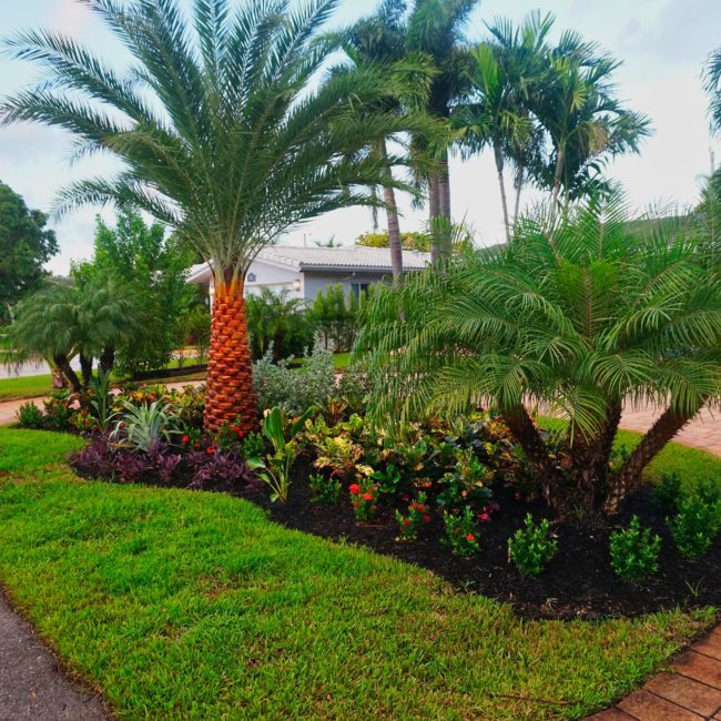 Wilton Manors Landscape
