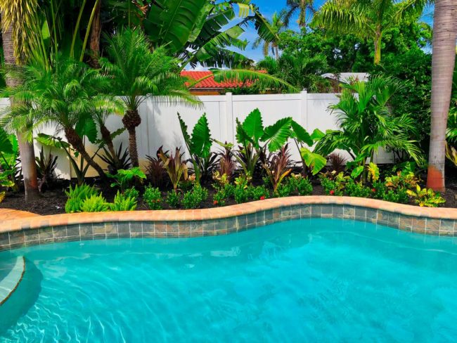 Poolside Landscaping ideas