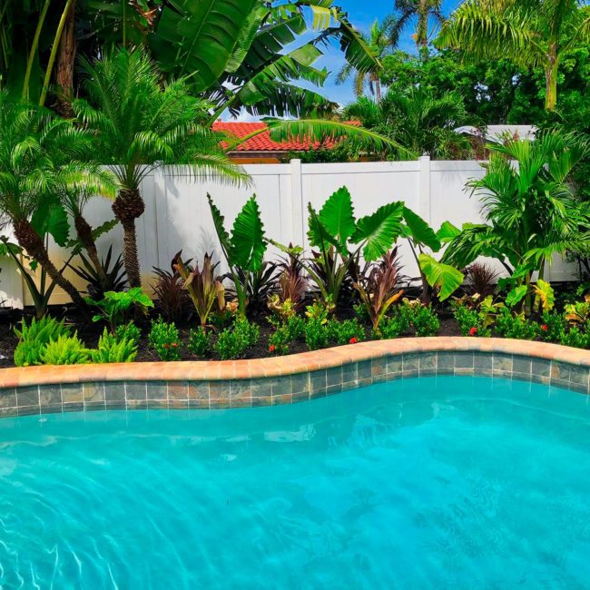 Poolside Landscaping ideas