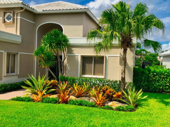 Tropical Landscaping Florida