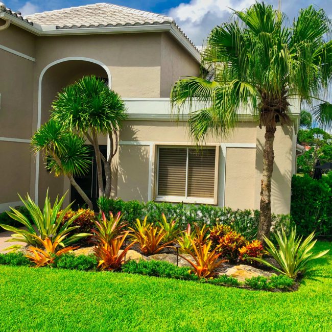 Tropical Landscaping Florida