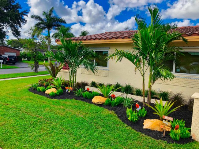 Tropical Landscaping South FL