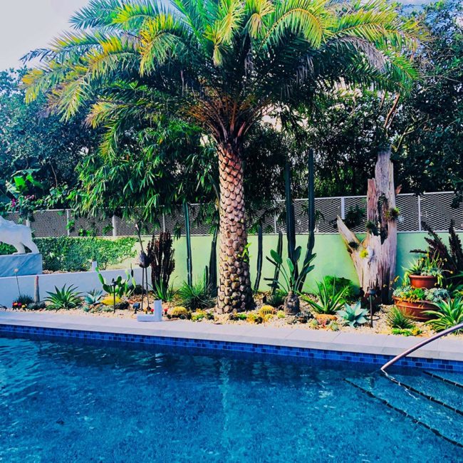 Boca Raton Landscape Installation