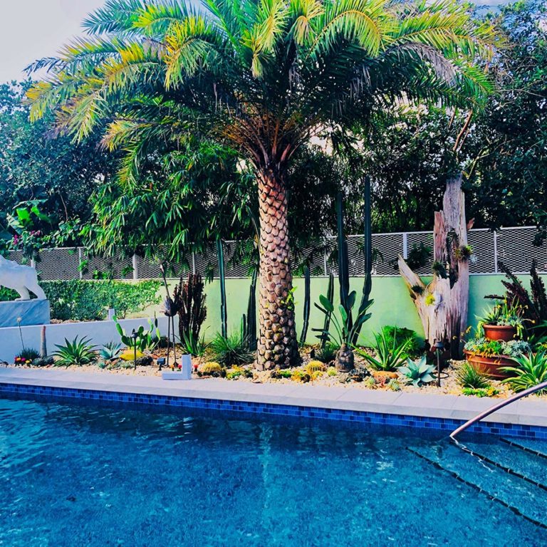 Boca Raton Landscape Installation