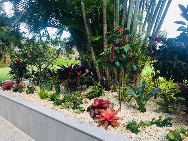 Boca Raton Polo Club landscaper