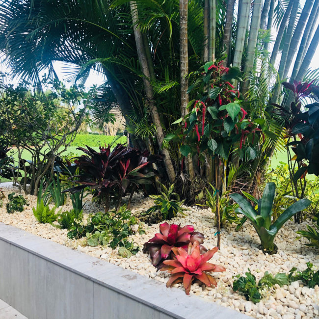 Boca Raton Polo Club landscaper