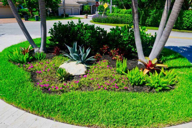 gallery island landscape
