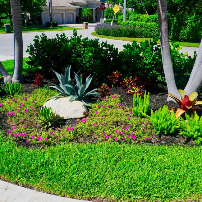 gallery island landscape