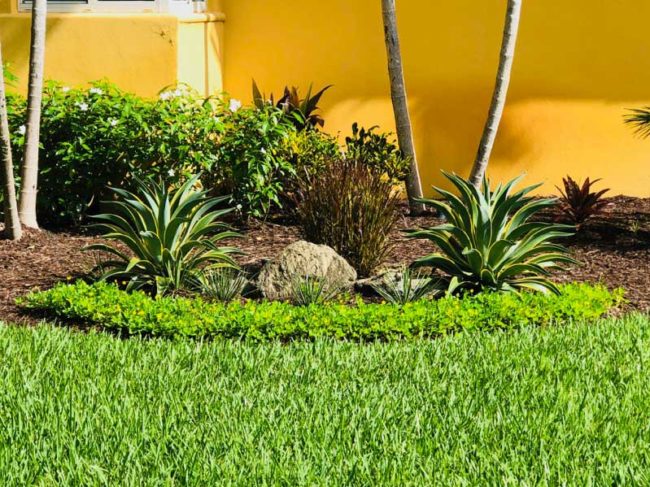 landscaping completed Miami, FL