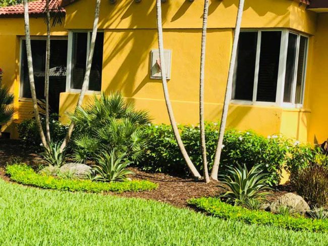 Miami fl Lawn Care Services