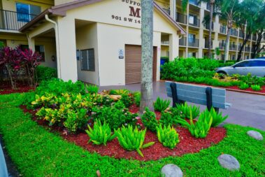 garage area landscaping