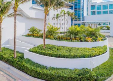 commercial lawn care