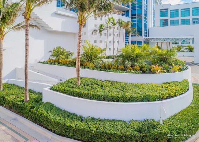 commercial lawn care