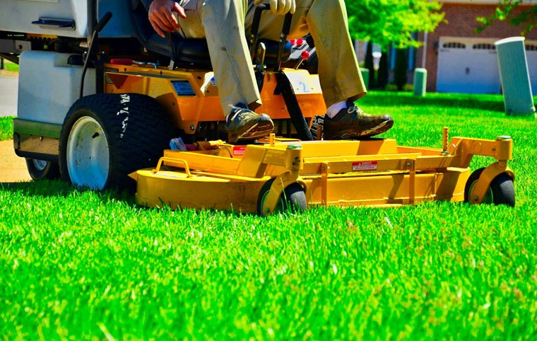 lawn services