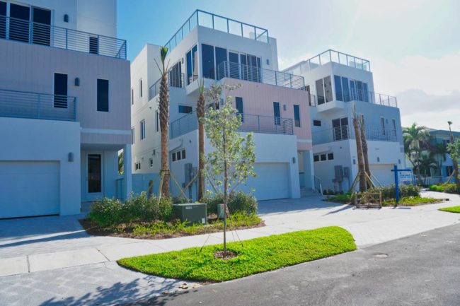 new construction landscape south florida